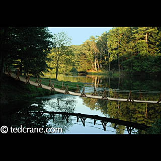 Bridge Over Still Waters
