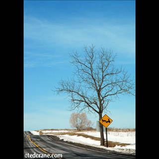 Buggy Crossing, Cayuga Lake, near Ithaca, NY