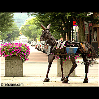 Iron Donkey on the Ithaca Commons