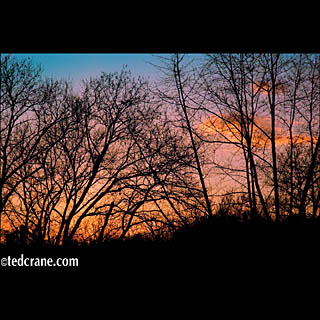 Swissvale, PA Skyline