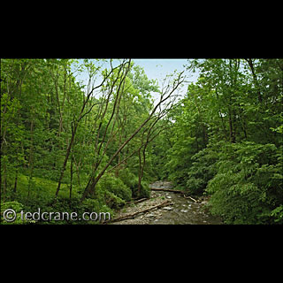 VanBuskirk Gulf Dell