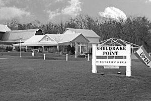 Sheldrake Vineyard Grounds